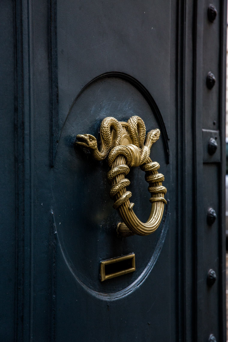 Black door with ornate gold snake door knocker, architectural detail editorial photography