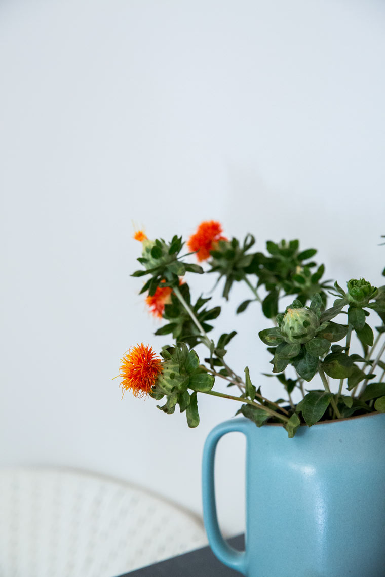 Fresh flowers in vase, clean lifestyle interior photography