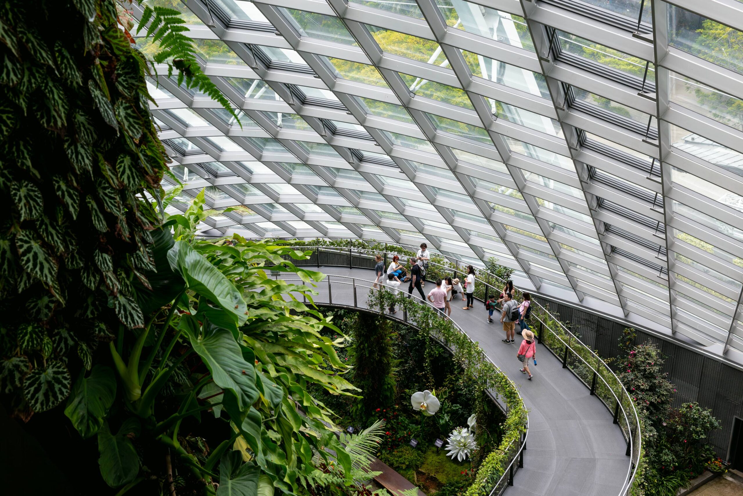 Cloud Forest glass dome elevated walkway Singapore skyline Gardens by the Bay travel editorial photography