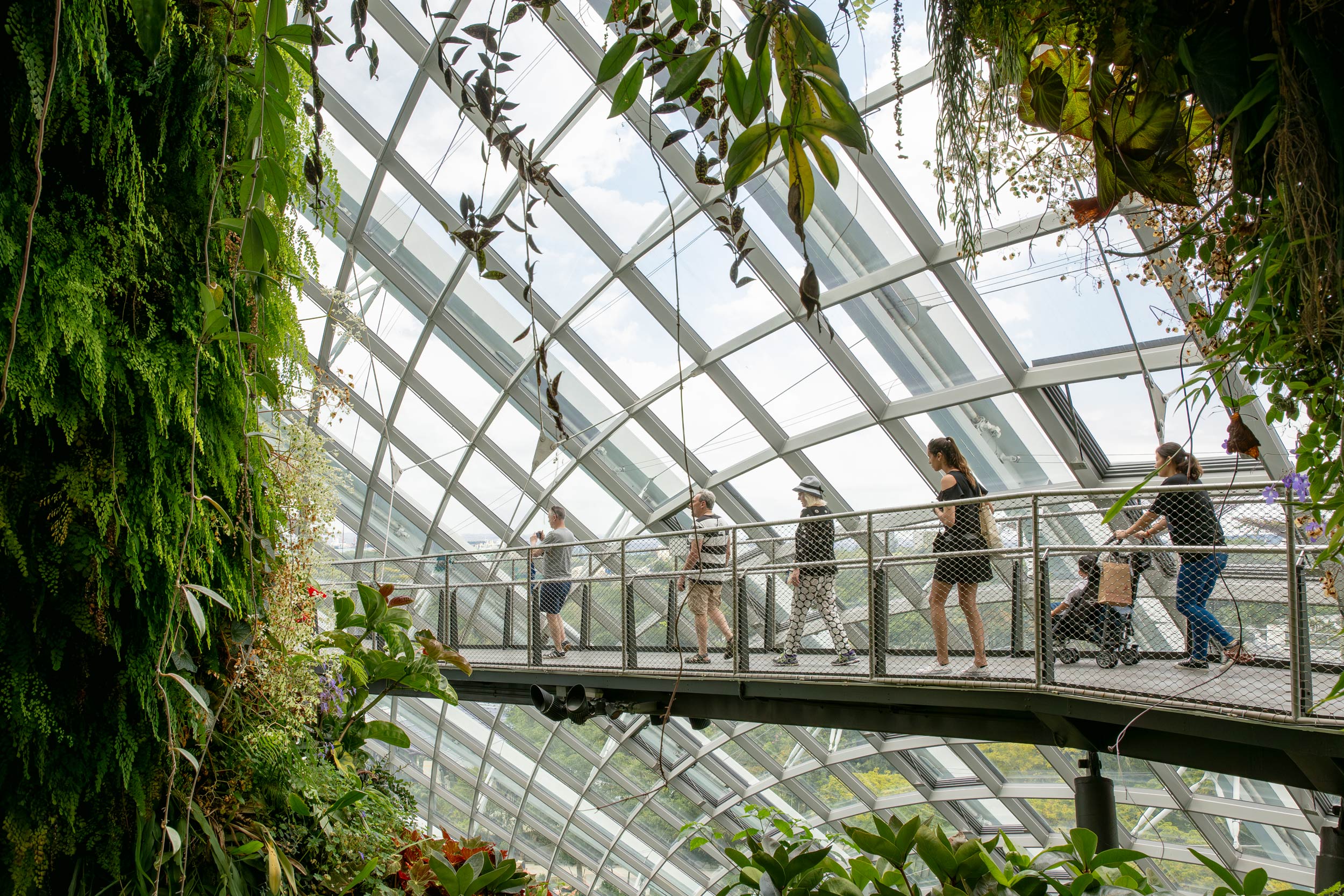 Elevated walkway visitors Cloud Forest dome Gardens by the Bay Singapore travel editorial photography