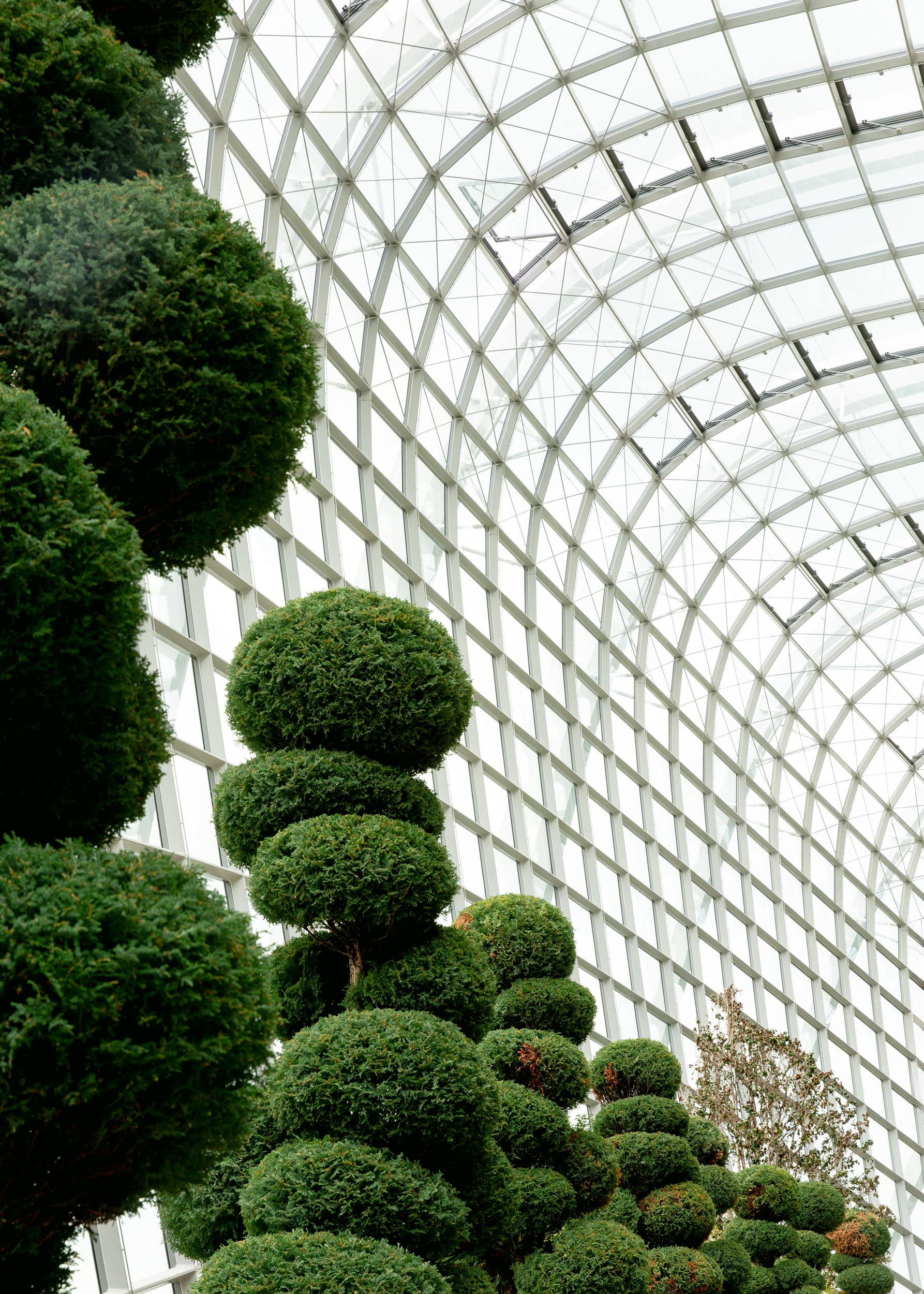 topiary spheres sculpted trees glass dome Gardens by the Bay Singapore travel editorial photography