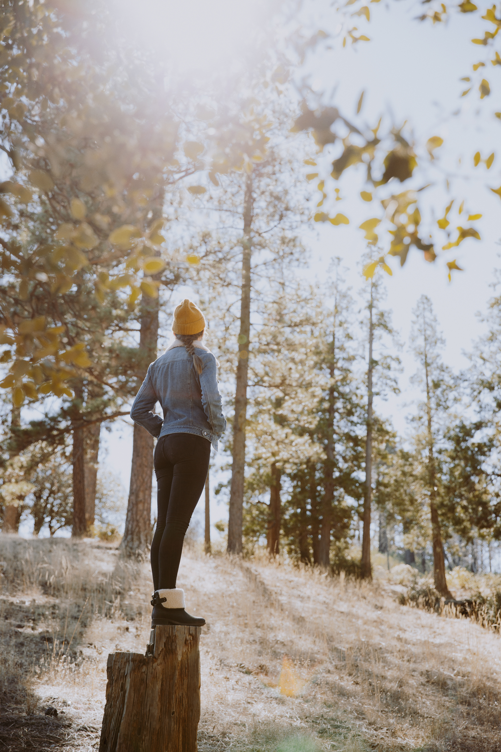 Woman standing on tree stump in misty forest with golden light, luxury lifestyle photography