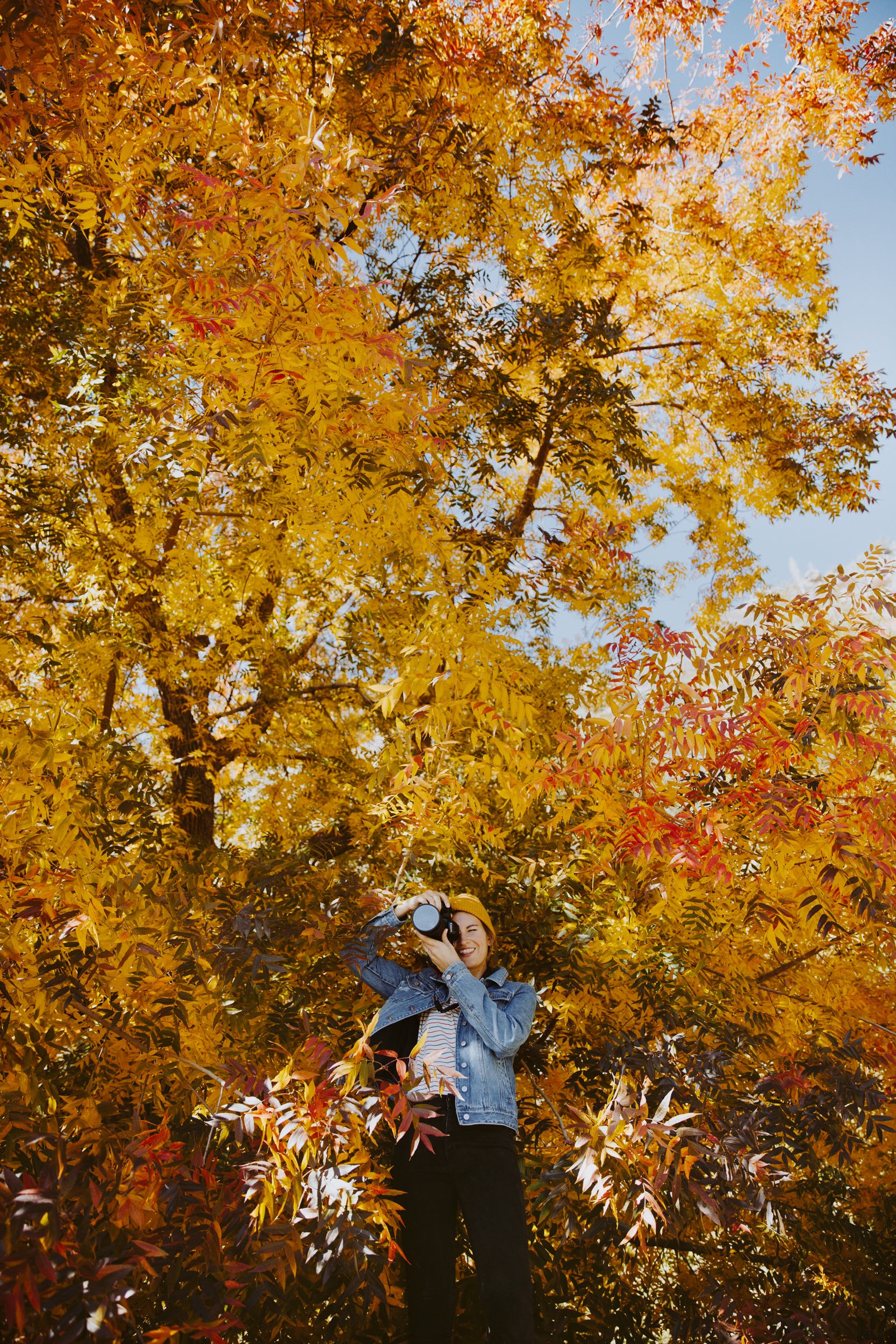 Woman looking up at golden autumn trees, natural light lifestyle editorial photography