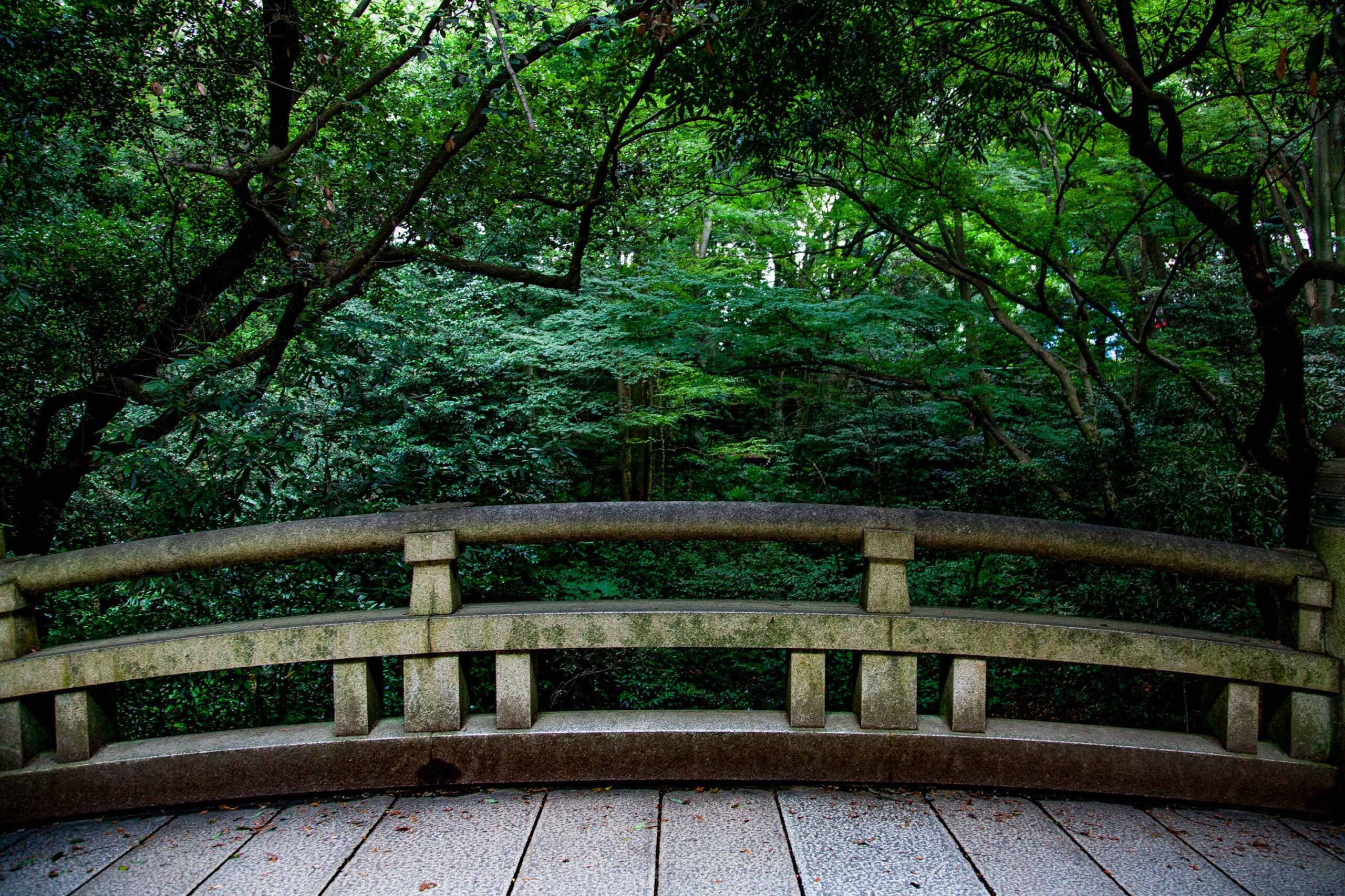 Wooden bridge beneath lush green tree canopy, travel lifestyle editorial photography
